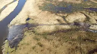 DJI mini 2. Wetlands 2 0