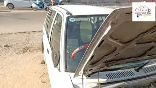 Maruti 800    470km pr 14kg gas LpG Gas kit Fiting soni Auto gas soni car gas Bikaner 6350384149