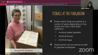 PART 12: Preserving & Storing Fungi