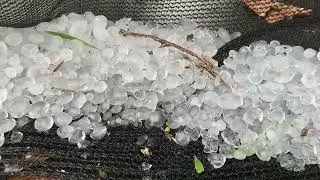 Hail storm #scary #fun 