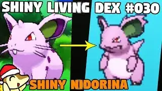 Shiny Nidoran FEMALE Reaction! Shiny Nidorina for the Shiny Living Dex #030 Pokemon X and Y