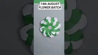 14 August 🇵🇰 Craft Idea