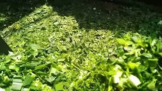 Best Toka Machine | New china model Chaff cutter | manufactured by Haji Zulfiqar toka Faisalabad 
