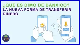 QUE ES DIMO DE BANXICO?