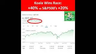Koala Wins Race, a perspective of a singapore guy winning the S&P500 race.