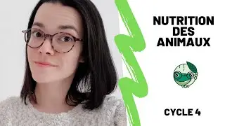 La nutrition des animaux - 5ème - Madame SVT