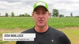 Area farmers need rain.