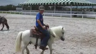 Pony Training