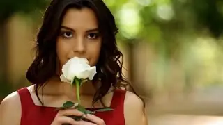 Белая Красная Розы