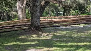 Solders of Dade Battlefield #haunted #ghosthunting #paranormal #paranormalactivity #ghost 