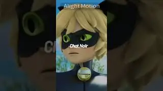 Chat Noir Or Chat Blanc? #recommended #rrirxsee #miraculous #miraculousladybug  #chatnoir #chatblanc