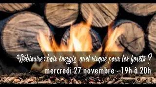 WEBINAIRE : Bois énergie, quel risque pour les forêts ?