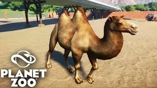 PLANET ZOO - O CAMELO CHEGOU no ZOOLÓGICO!!!