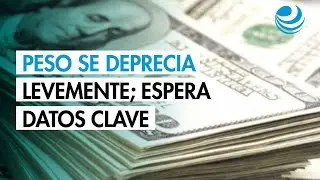 Peso mexicano se deprecia levemente por avance del d&oacute;lar; espera datos clave