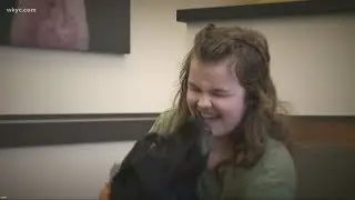 Hope College student hit, killed by train in Holland