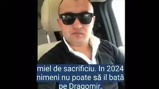 Șeful PNL Brăila: &ldquo;Canciu este pregătit ca miel de sacrificiu&rdquo; - sursa aktual24