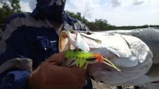 [Vol. 85] My friend caught a 81cm barramundi on Zerek Live Cherabin 100mm