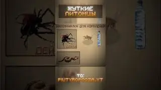ВПЕРВЫЕ УВИДЕЛ КАК НУЖНО СОДЕРЖАТЬ СВОИХ РЕДКИХ ЖИВОТНЫХ! #lurking #нарезки #piutyropoqza #horror