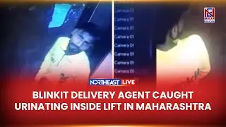 Blinkit Delivery Agent Caught Urinating Inside Lift in Maharashtra