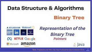 L2.2 Representation of Binary Tree | Pointers  | Binary Tree | Data Structures & Algorithms #dsa