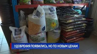 Удобрения появились, но по новым ценам