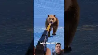 Shooting a Bear Skull Will It Survive | Education Films