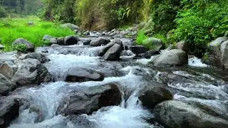 Calming Water Sounds for Yoga | Peaceful River Flow Ambience