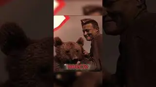 Медведь &mdash; герой Второй мировой. Войтек