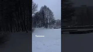 Winter fairy tale #vlogiestonia #winter #travelvlog #estonianrussian #newyear #lifestonia #review