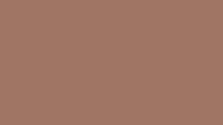 🤎 BROWN SCREEN 4 HOURS | 4H Pantalla Marr&oacute;n Sin Sonido (HD)#brownscreen #pantallamarron #colorscreen