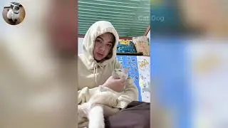 Funniest Cats and Dogs Videos 2025🐈🐕Try Not To Laugh😜 Part 11