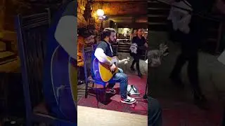 Greenday - Time of your life (cover)#cover #greenday #timeofyourlife #liveshow #music #musician