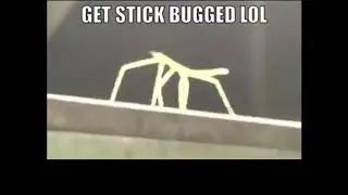 Stick Bugged LOL (Remix) | KRJJ