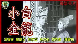《粵語長片》小白金龍 (1961)｜馮寶寶｜鳳凰女｜林家聲｜靚次伯｜劉克宣｜陳寶珠｜導演：馮峰｜香港電影｜香港粵語電影｜粵語中字