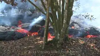 2014 10 28 lava in macnuts