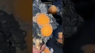 Thomsonite Ball ✨ #shorts #ytshorts #mineral #crystals #thomsonite
