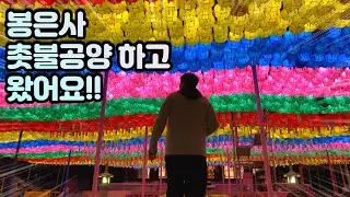 데이비드 호크니 해돋이 영상 | 부처님오신날 | 봉은사가서 촛불공양하기  | 공양간가서 비빔국수 먹기 |