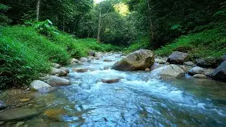 Ultimate Calm &ndash; Beautiful Enchanted Water River Sound in Natural Forest &ndash; Deep Sleep