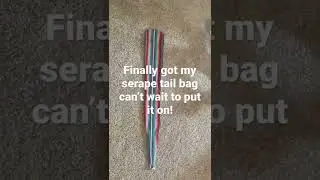 Serape tail bag fianlllly