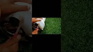#viralvideo #food #kicthenhacks #acharmasala #indiayoutuberkirti #kitckenhacks #indianspice