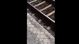 f&ouml;rsta dag i stockholm stad