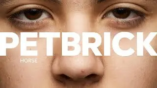PETBRICK &ndash; Horse (Track Video)