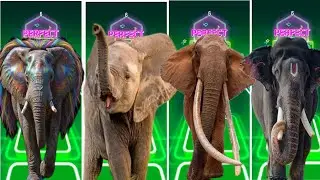 Tiles Hop - Elephant 🆚 Mammoth 🆚 Funny Elephant 🆚 Elephant 🎶 Tiles Hop EDM Rush