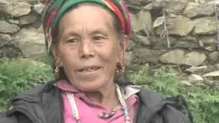 Chiraito farming in Ramche, Rasuwa