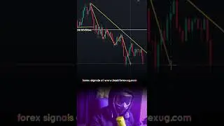 Ultimate Forex Trading Analysis for Maximum Profit (2024)