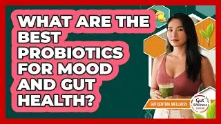 What Are The Best Probiotics For Mood And Gut Health? - Gut Wellness Central