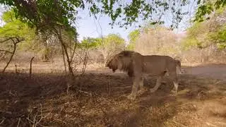 360 degree video 