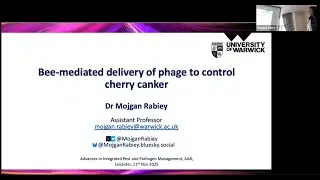 Dr Mojgan Rabiey - Bee-mediated delivery of phage to control cherry canker