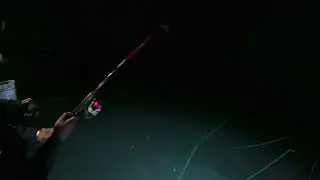 Squid fishing at edmonds pier (8.1.25)