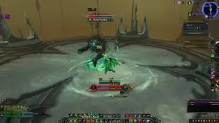 DH Havoc Solo Torghast L8 Mortregar